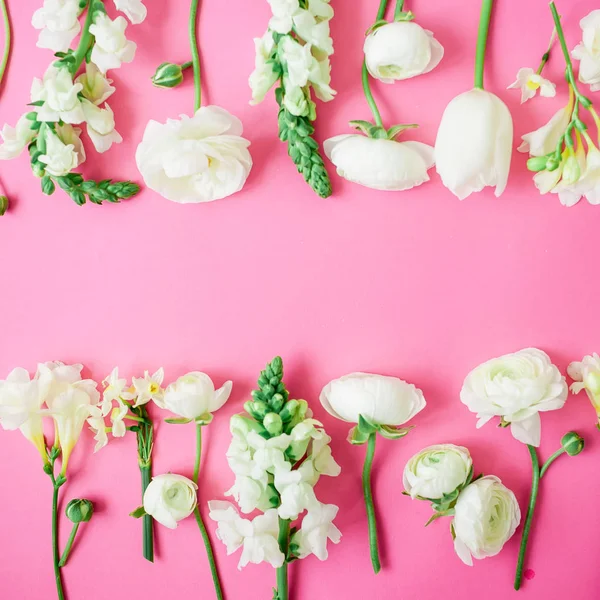 Цветочные Рамки Белого Ranunculus Snapdragon Цветы Тюльпана Розовом Фоне Плоский — стоковое фото