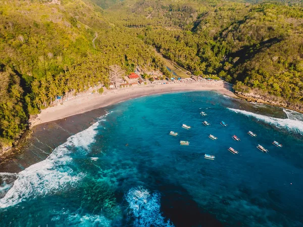 Plage Tropicale Avec Cocotiers Océan Crystal Bay Nusa Penida Vue — Photo