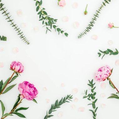 Pembe peonies ve beyaz arka plan üzerinde okaliptüs dalları ile çerçeve çiçek. Düz yatıyordu, en iyi görünümü