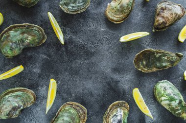 Karanlık arka planda Limes ile istiridye. Lezzetli deniz ürünleri bileşimi. Düz yatma