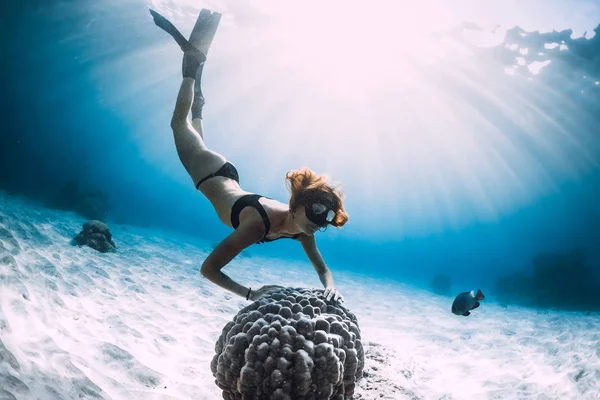 Freediver Uszonyok Korall Freediving Víz Alatti Kék Óceán — Stock Fotó