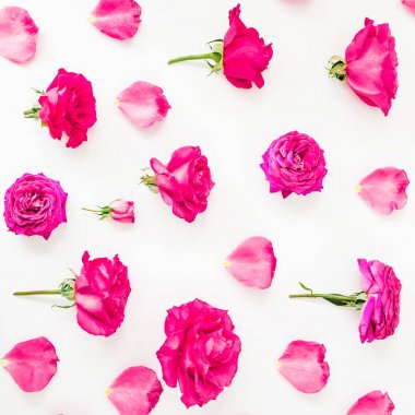 Pembe güller, yaprakları ve beyaz arka plan üzerinde şakayık ile Çiçek kompozisyonu. Düz yatıyordu