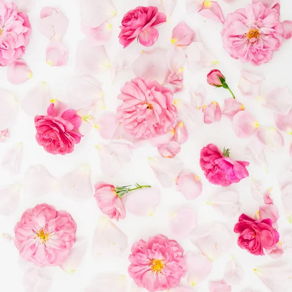 Padrão Floral Com Rosas Pétalas Cor Rosa Sobre Fundo Branco — Fotografia de Stock