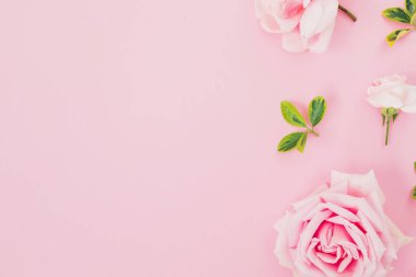 Pembe arka plan üzerinde gül ve yaprakları ile Çiçek çerçeve. Düz döşeme, üst görünüm