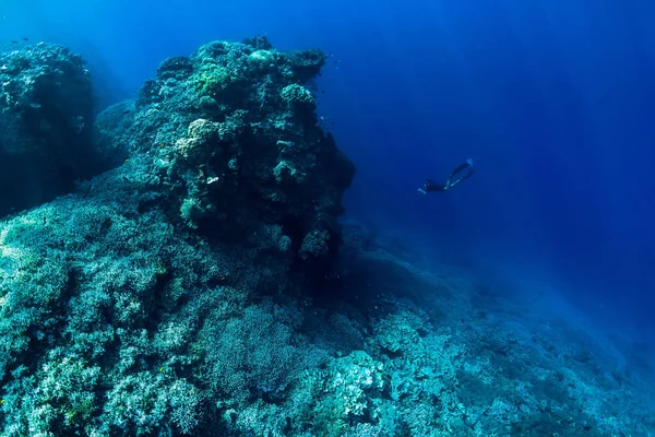 Freediver men swim underwater in ocean