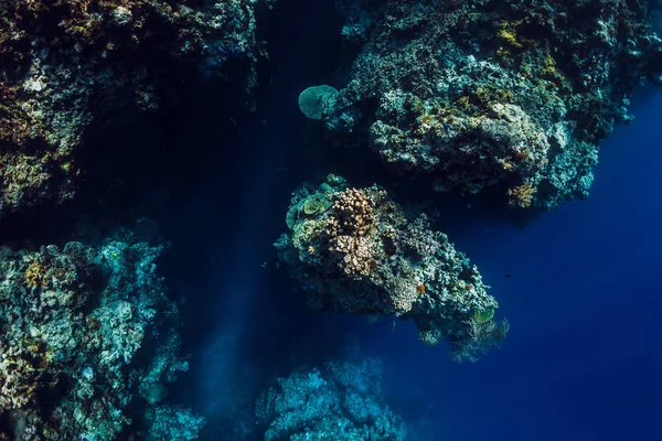 在蓝色海洋中欣赏岩石和珊瑚的水下景色 门詹甘岛 巴厘岛 — 图库照片