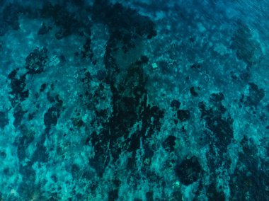 Mercan resifi ile turkuaz okyanus suyu, hava. Üstte görüntü