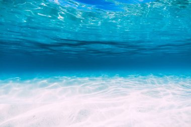 Tropikal mavi okyanus beyaz kum Hawaii'de sualtı