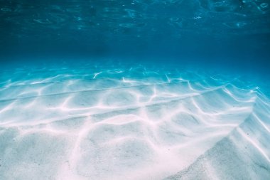 Tropikal mavi okyanus beyaz kum Hawaii'de sualtı