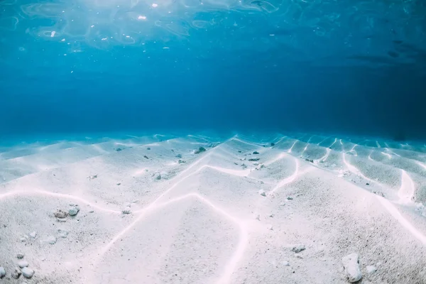 Τροπικό Μπλε Του Ωκεανού Λευκή Άμμο Υποβρύχια Στη Χαβάη — Φωτογραφία Αρχείου
