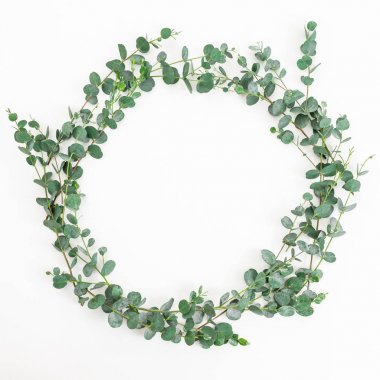 Beyaz arka plan üzerinde okaliptüs dalları Çiçek yuvarlak çerçeve. Düz döşeme, üst görünüm