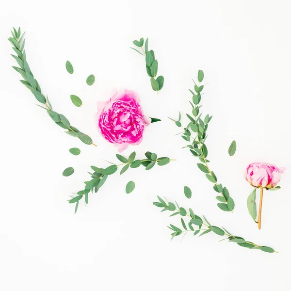 Composición Floral Flores Peonía Rosa Ramas Eucalipto Con Hojas Sobre —  Fotos de Stock