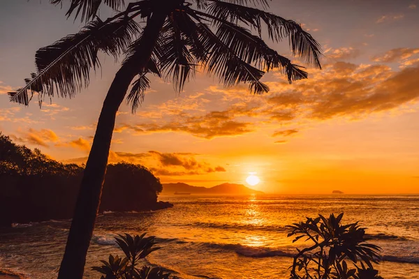 Palmeras Coco Amanecer Playa Tropical Con Mar — Foto de Stock