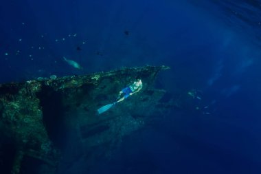 Freediver adam Bali gemi enkazı nda sualtı dalış. Okyanusta serbest dalış