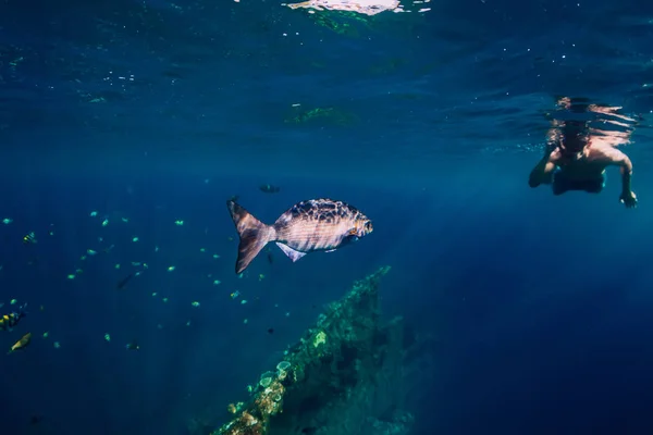 Uomo Apneista Nuotare Con Pesci Tropicali Oceano — Foto Stock