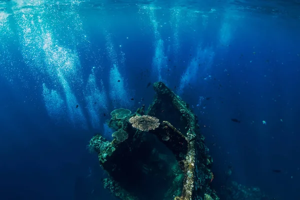Bellissimo Mondo Sottomarino Con Pesci Tropicali Coralli Naufragio — Foto Stock