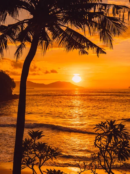 Palms Kókuszos Napfelkelte Trópusi Strandon Tengeren Trópusi Sziget — Stock Fotó