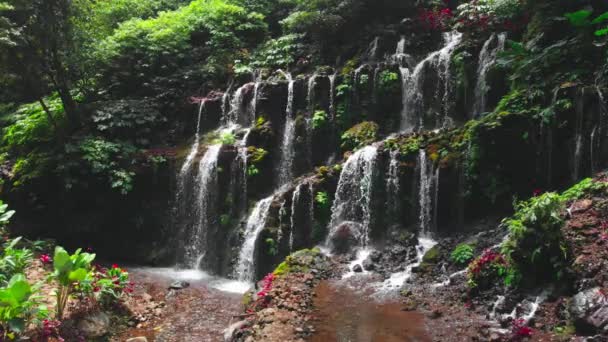 Wodospad Lesie Tropikalnym Bali Indonezja Widok Lotu Ptaka — Wideo stockowe
