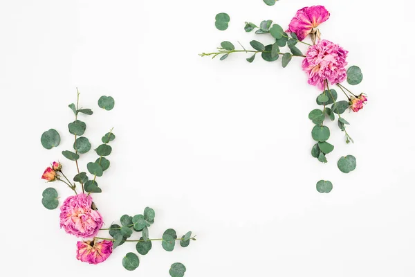 Marco Floral Flores Rosadas Ramas Eucalipto Sobre Fondo Blanco Piso — Foto de Stock
