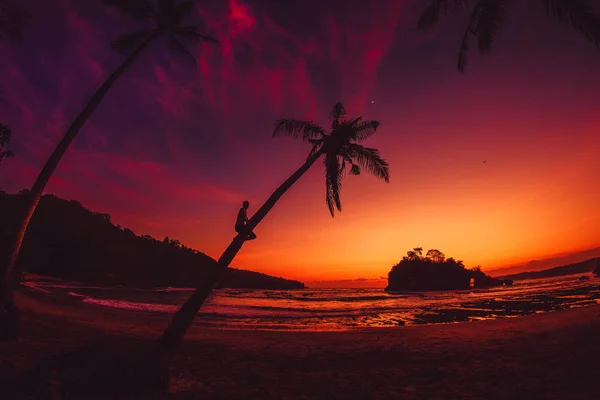 Чоловік Мандрівник Кокосовій Пальмі Яскравий Захід Сонця Тропічному Пляжі Океаном — стокове фото
