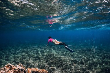 Kadın serbest dalgıç mercan resifinde yüzgeçleriyle süzülür. Mavi okyanusta serbest dalış