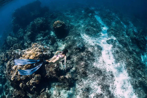 Kadın Serbest Dalgıç Deniz Kaplumbağasıyla Suyun Altında Süzülüyor Mavi Okyanusta — Stok fotoğraf