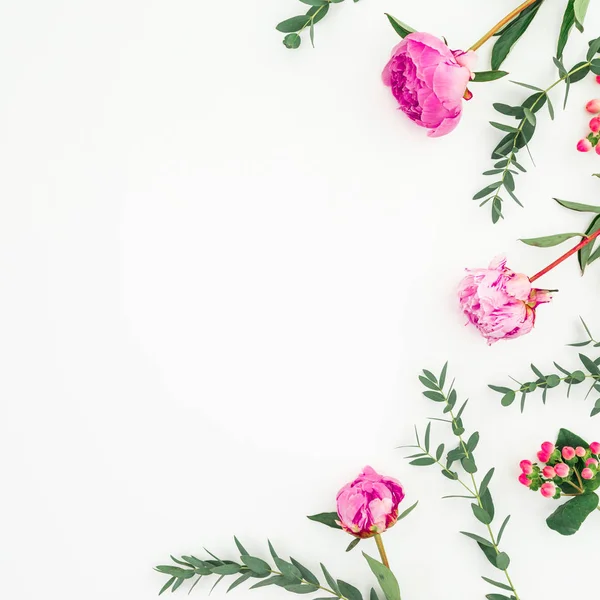 Růžové Peóty Eukalytus Bílém Pozadí Květinové Rámy Plochý Pohled Shora — Stock fotografie
