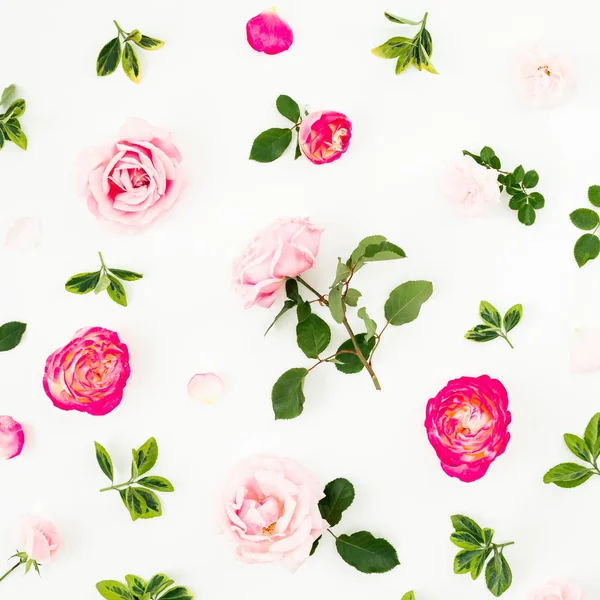 白い背景に孤立したピンクのバラの花 フラットレイ トップビュー 花の質感 夏の作曲 — ストック写真