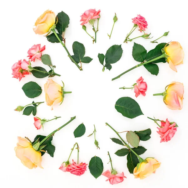 Composição Floral Rosas Pétalas Sobre Fundo Branco Deitado Plano Vista — Fotografia de Stock