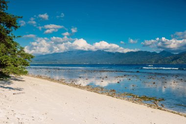 Cennet adasında tropikal plaj ve mavi okyanus