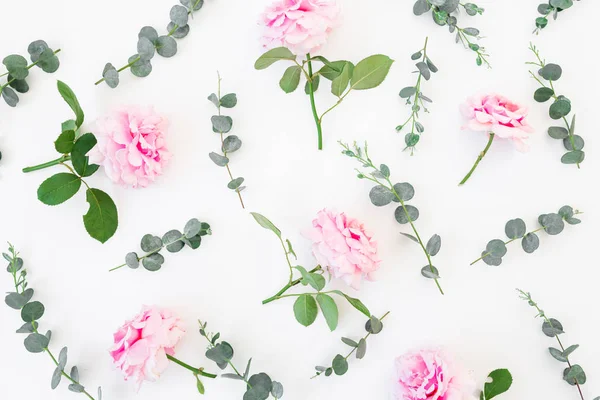 Patrón Rosas Rosadas Flores Eucalipto Sobre Fondo Blanco Piso Tendido — Foto de Stock