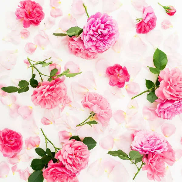 Padrão Floral Rosas Rosa Flores Fundo Branco Flat Lay Vista — Fotografia de Stock