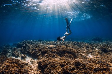 Kadın freediver yüzgeçleri ve deniz kaplumbağası ile resif alt üzerinde süzülür.