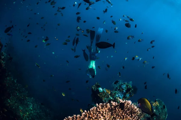 Free Diver Man Dive Underwater Shipwreck Bali Freediving Ocean Fish — Stock Photo, Image