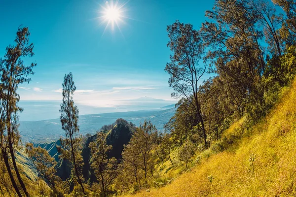 Widok Góry Abang Drzew Lasów Bali — Zdjęcie stockowe