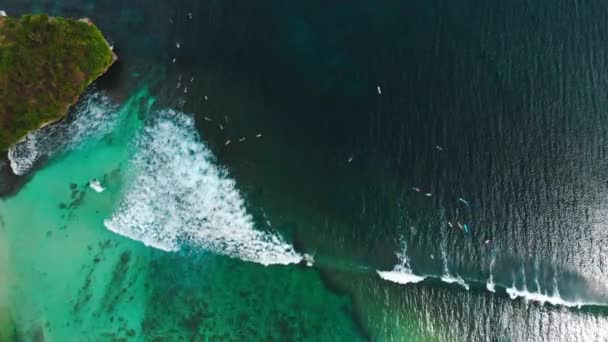 ターコイズブルーの水 サーファーと熱帯の海 航空写真 — ストック動画