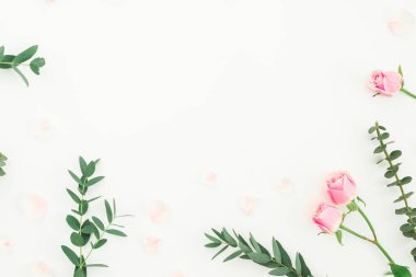 Gül çiçek ve okaliptüs dalları beyaz yapılmış çiçek çerçeve. Düz döşeme, üst görünüm