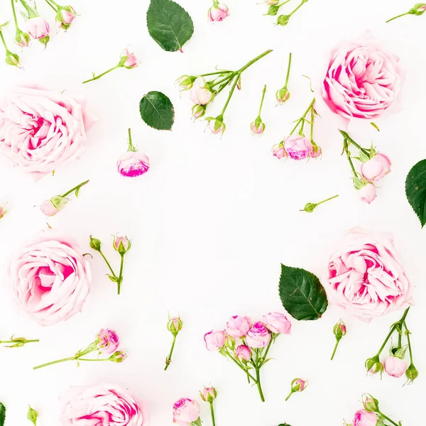 Padrão Moldura Com Flores Rosas Botões Fundo Branco Deitado Plano — Fotografia de Stock