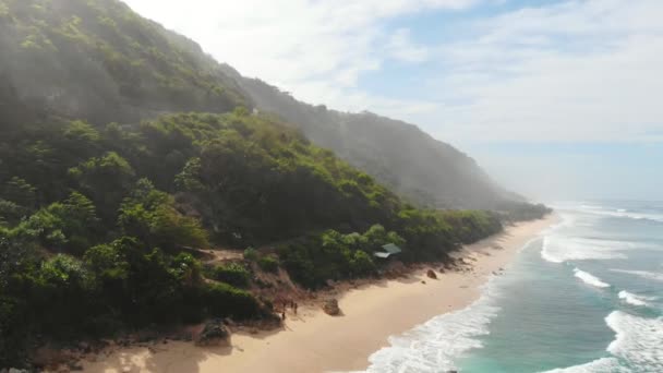 Vista Aérea Praia Selvagem Tropical Oceano Com Ondas — Vídeo de Stock