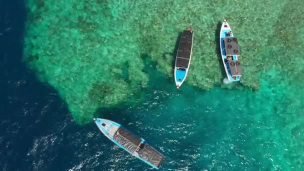 Båtar Klart Hav Menjangan Island Utsikt Från Luften — Stockvideo