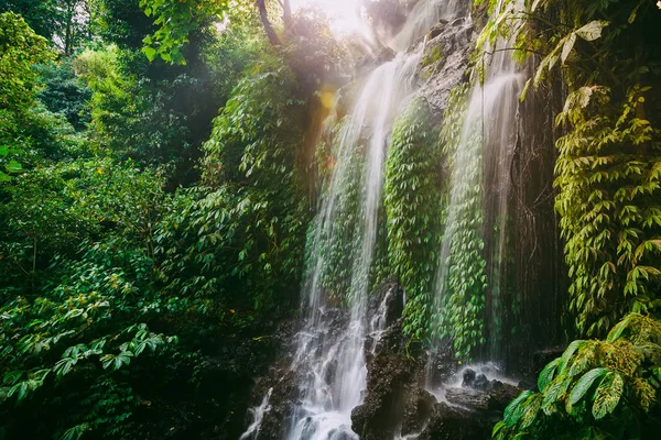 日光を浴びる滝。熱帯林と滝 — ストック写真