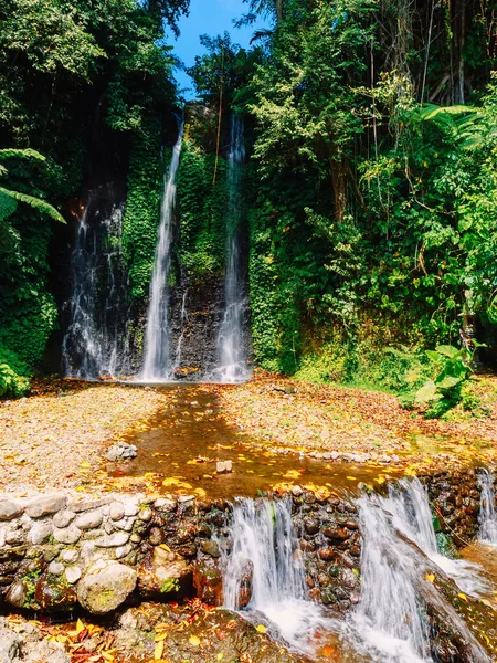 Vackra vattenfall med tropiska växter i Bali — Stockfoto