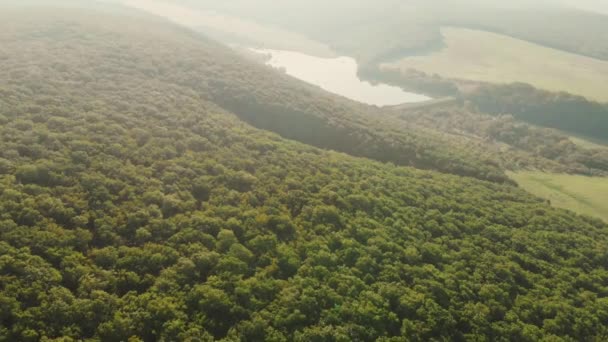 霧のある湖の航空写真 — ストック動画