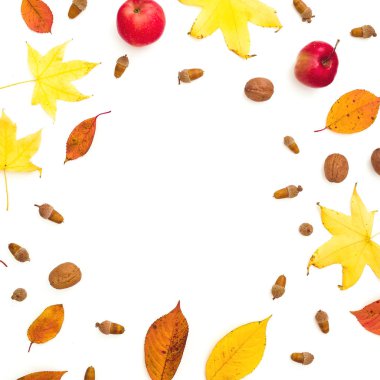 Sonbahar kare kompozisyonu. Sonbahar yaprakları, elma, mezgit üzerinde çam kozalağı