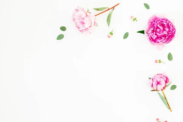 Floral samenstelling met roze pioenrozen bloemen en eucalyptus Leav — Stockfoto