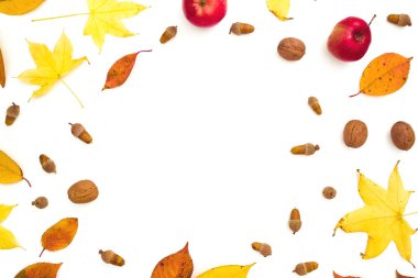 Sonbahar kare kompozisyonu. Sonbahar yaprakları, elma, mezgit üzerinde çam kozalağı