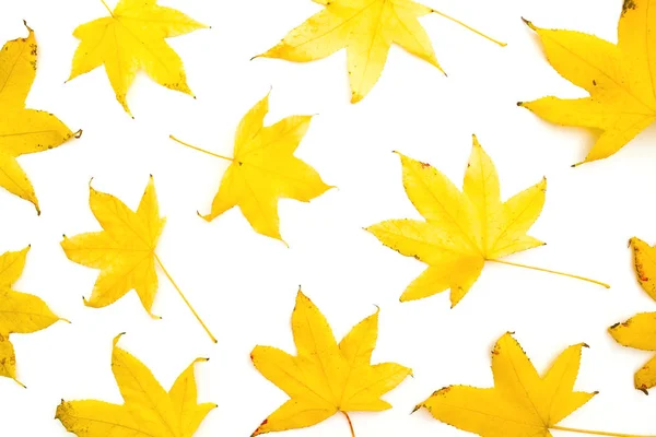 Autumn frame with fall yellow leaves on white background. Flat l — Stock Photo, Image