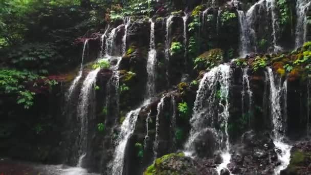 Kaskad Vattenfall Tropisk Skog Bali Indonesien Drone View — Stockvideo