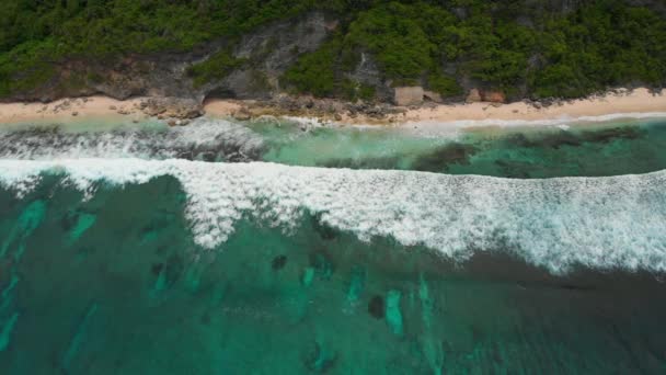 Widok Lotu Ptaka Tropikalną Plażę Oceanem Falami — Wideo stockowe