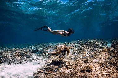 Yüzgeçli kadın freediver deniz kaplumbağası yakınında sualtı süzülür.
